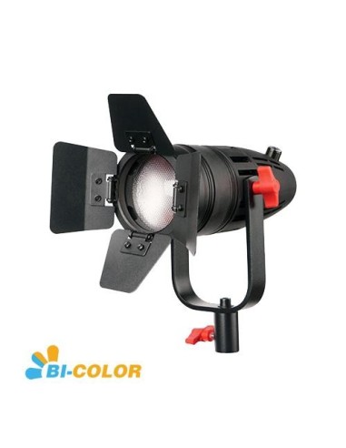 CAME-TV 1 Pc Boltzen 30w Fresnel Fanless Focusable LED Bi-Color With Bag