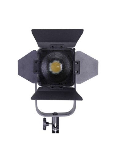 Ledgo D300C bi-color fresnel (D30)