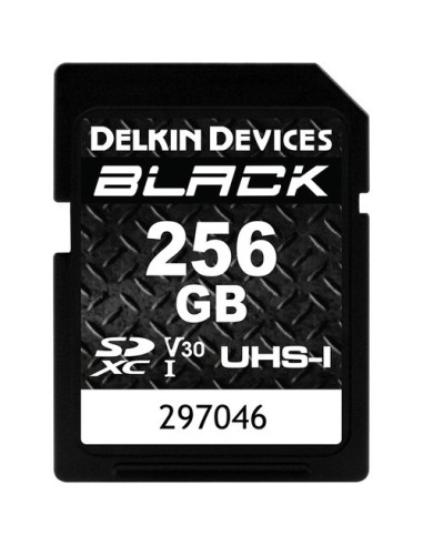 Delkin Devices SDHC 256GB BLACK USH-I C10 U3 V30