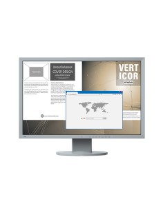 EIZO 61cm(24") EcoView EV2430-GY (grigio)