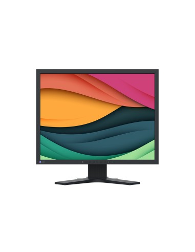 Eizo S2134 Monitor FlexScan 21" 1600 x 1200 4:3 (Nero)