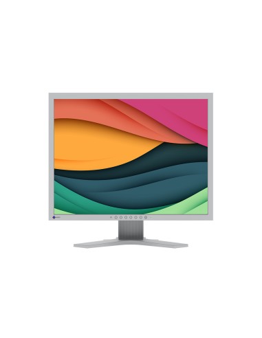 Eizo S2134 Monitor FlexScan 21" 1600 x 1200 4:3 (Grigio)