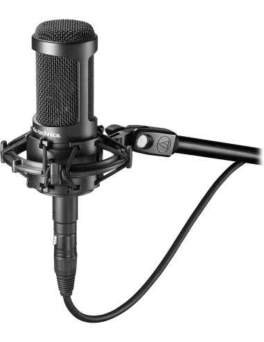 Audio-Technica AT2050 Large-Diaphragm Multipattern Condenser Microphone