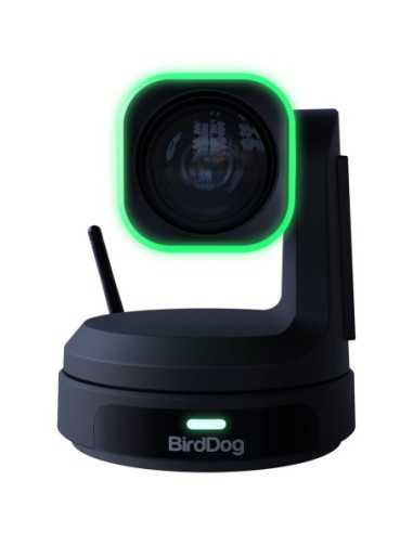 BirdDog X1 Ultra PTZ Camera con 12x Zoom (Nera)