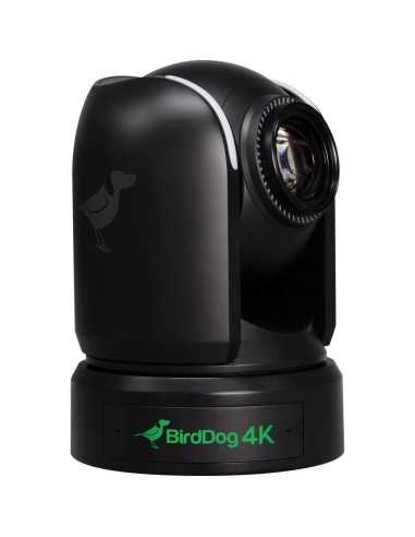 BirdDog P4K 4K Full NDI PTZ Camera con Sensore da 1" Sony (Black)